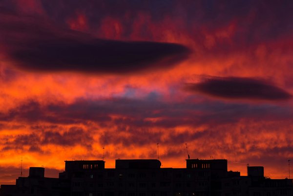 L'œuf vibrant : 9 modes de vibration pour un plaisir absolu !